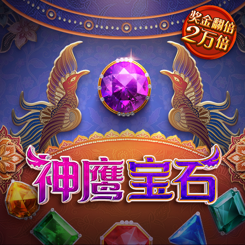 713贵宾会
